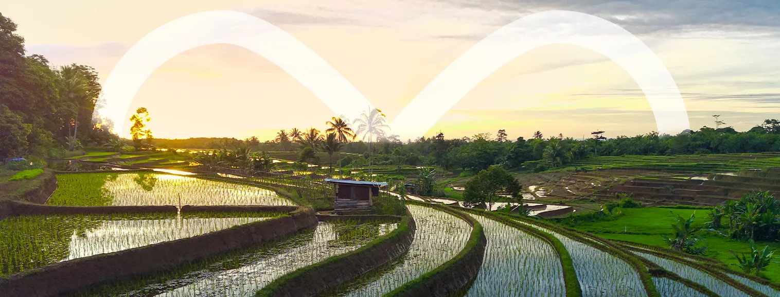 vaction banner